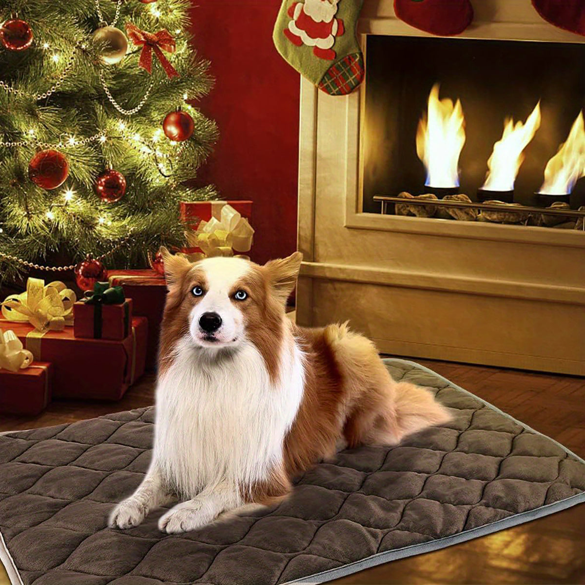 Warming Pet Bed